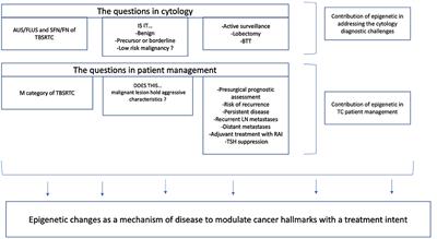 Translational Potential of Epigenetic-Based Markers on Fine-Needle Aspiration Thyroid Specimens